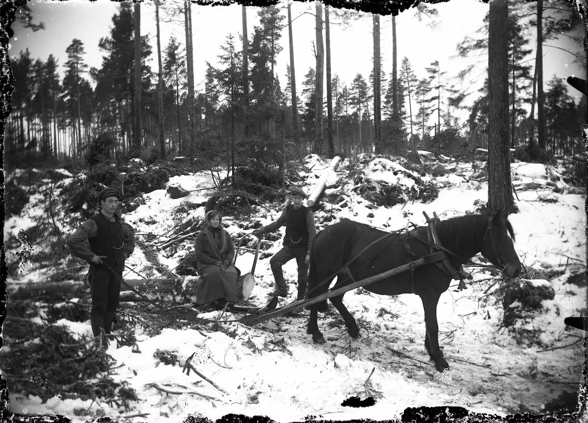 Gottfrid Granlund, Bergkvist with his wife and the horse Prima in the forest.