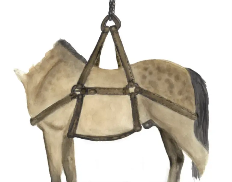 Illustration of the harness the horses hung in when they were lowered into and raised out of the mine.