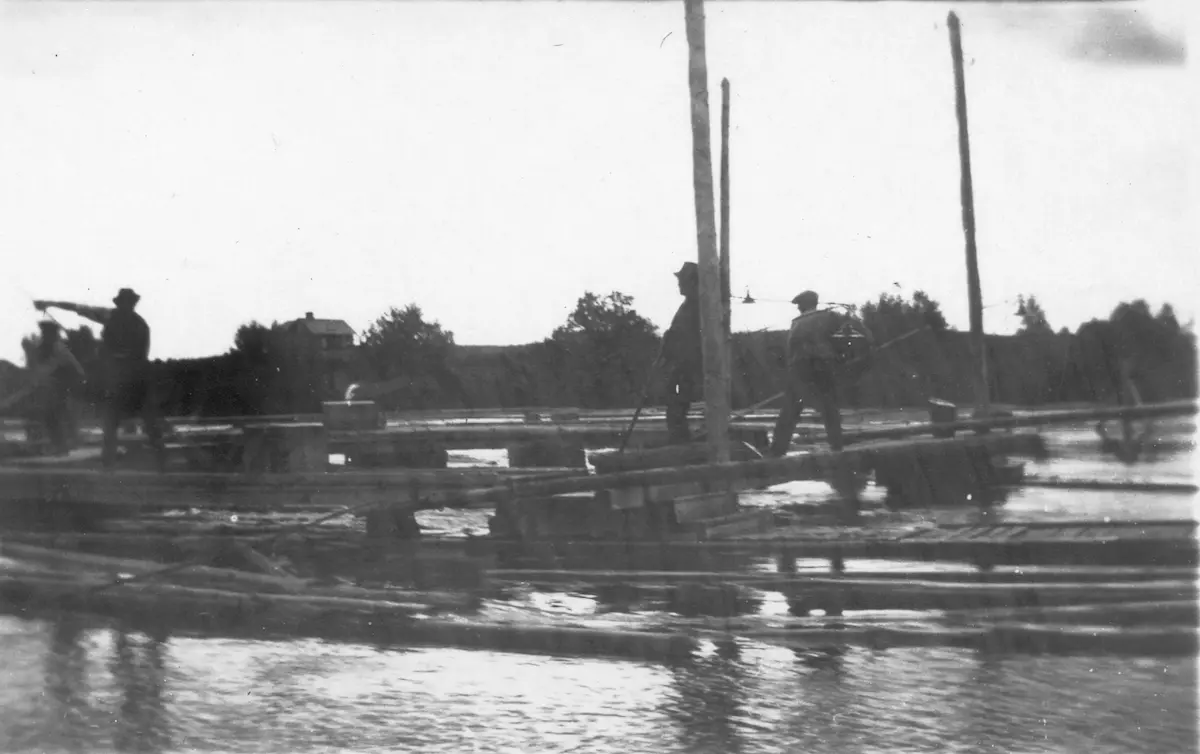 Flottning
